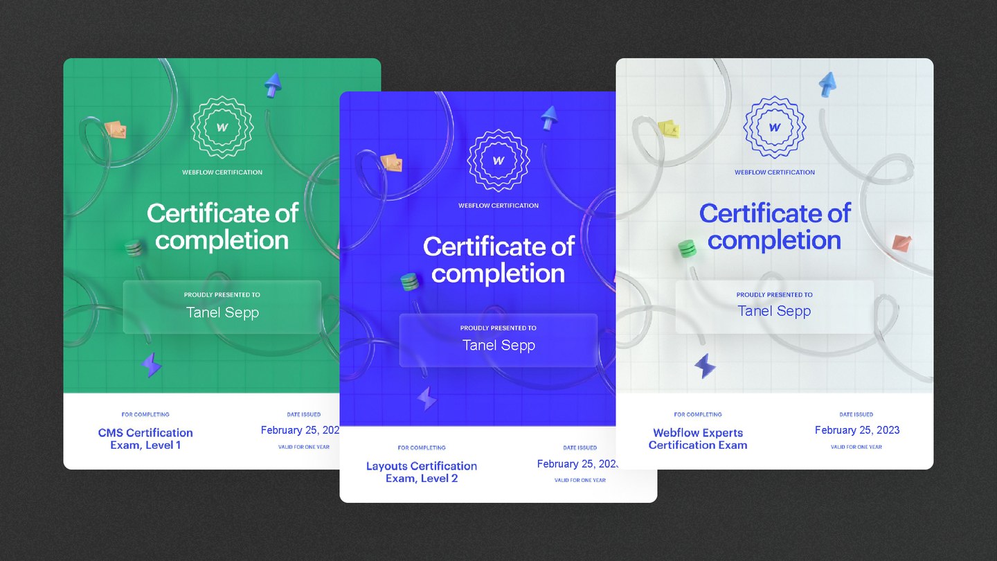 Tanel Sepp Webflow sertifikaadid