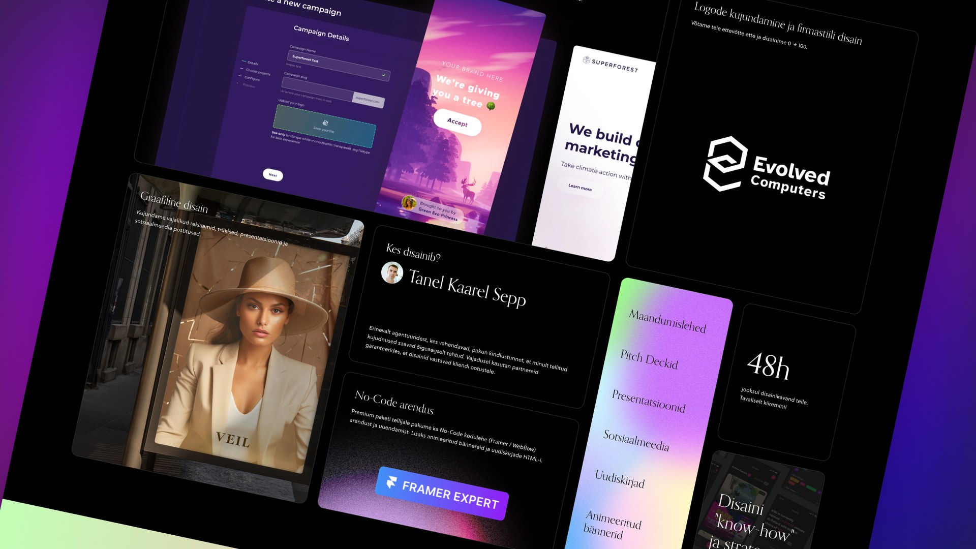 Piiramatu disainipaketti teenused -UI/UX disain, logo kujundamine, Veebidisain
