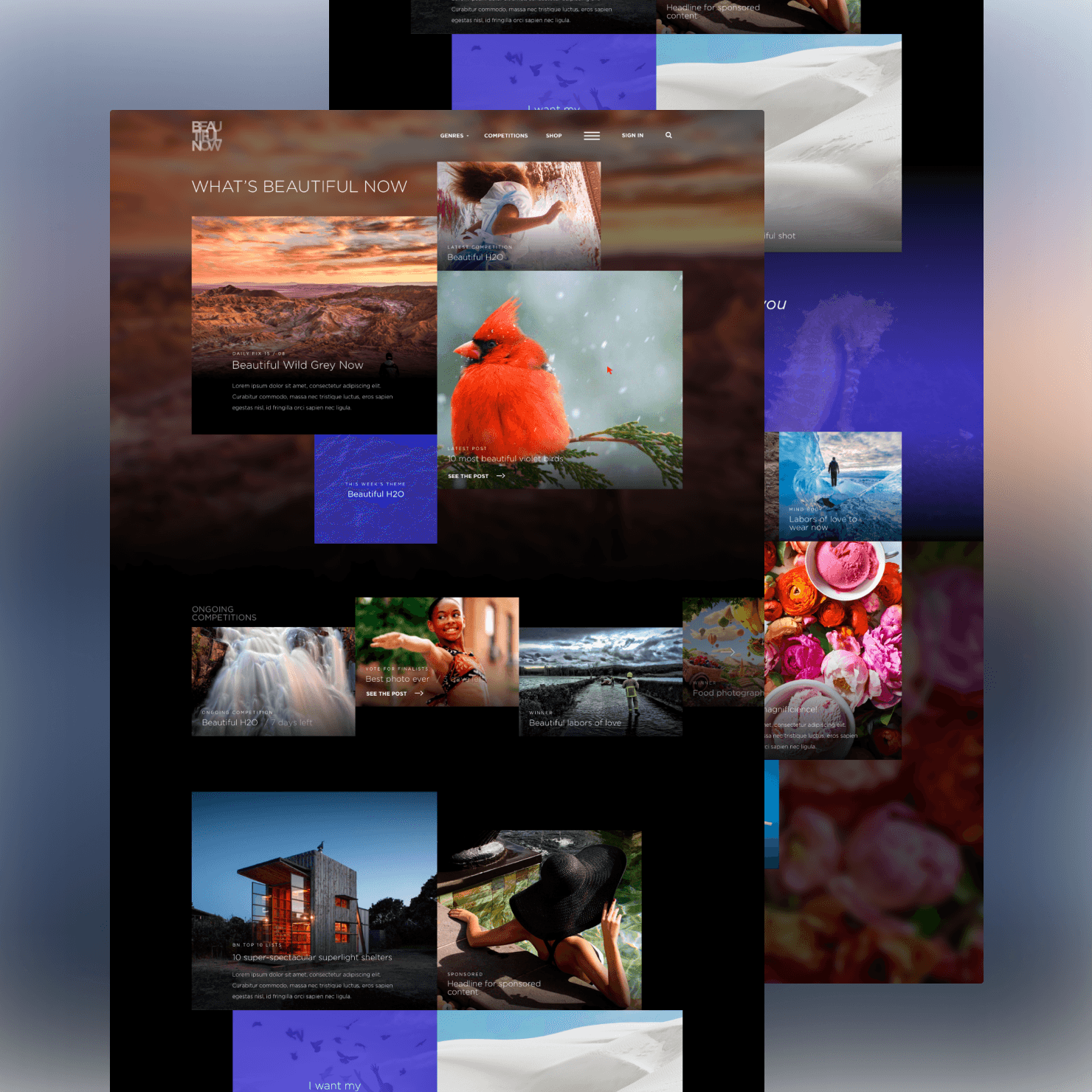 Veebiportaali kujundus