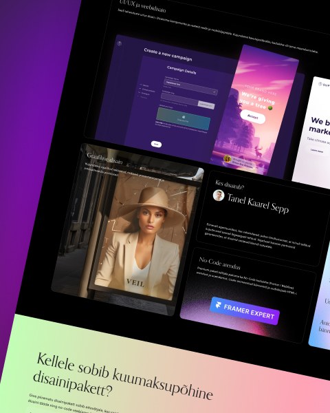 Piiramatu disainipaketti teenused -UI/UX disain, logo kujundamine, Veebidisain